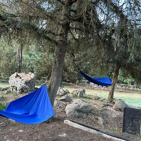 Mi Casita De Madera * Segovia